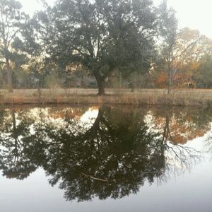 Meet your Posher, Madelynn